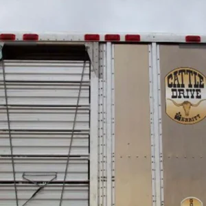 A high-mounted set of tail lights able to do all three functions (stop, turn, tail)