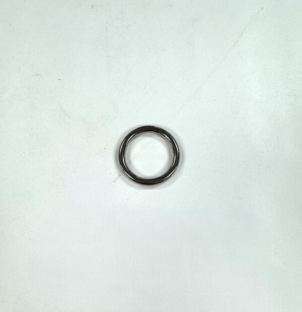Ring, 1-1/4" x .197" SS